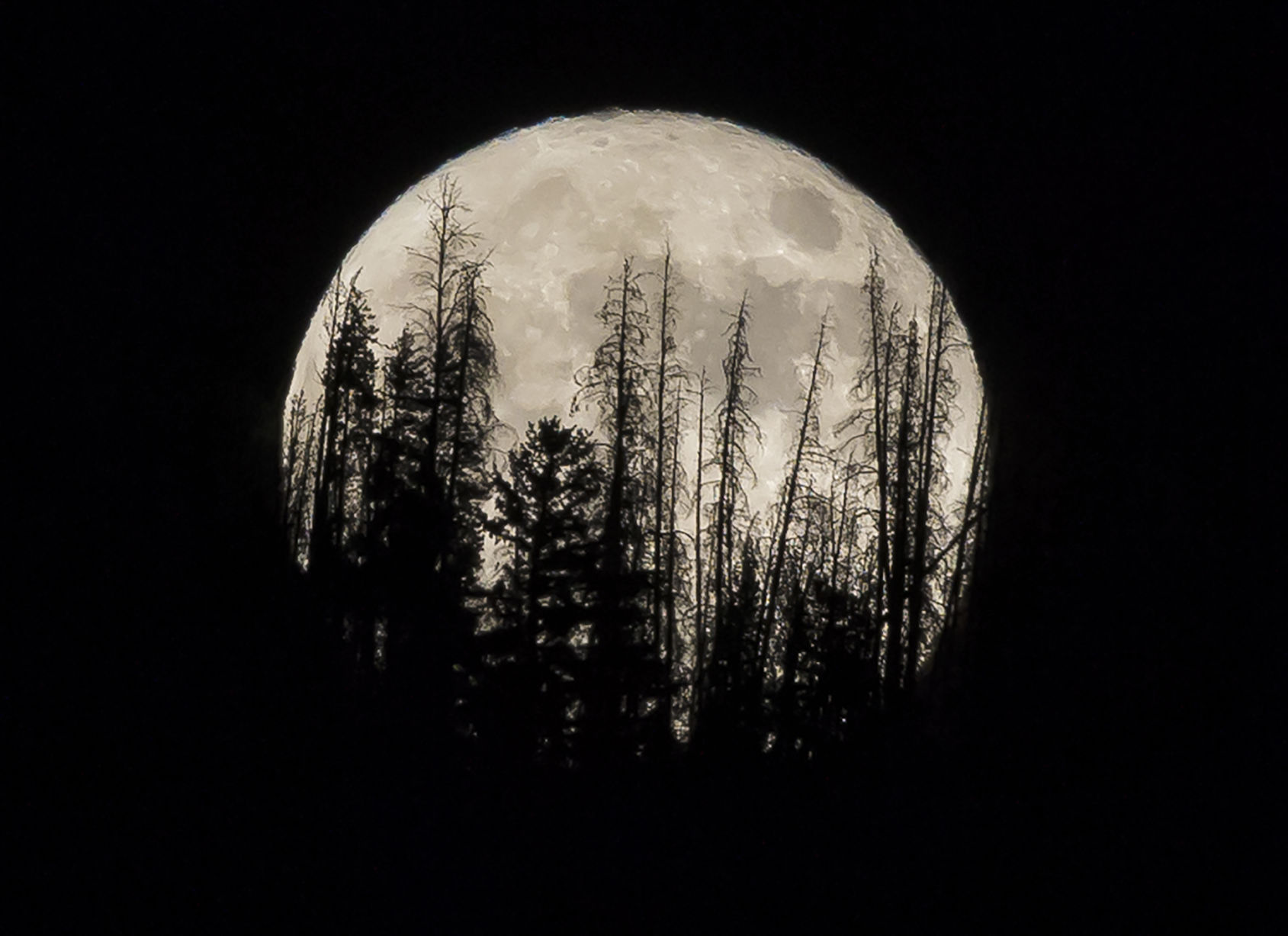 Supermoon